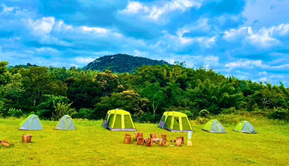 Cool Places Near Chennai to Visit in Summer (Hills, Wildlife & Forest Stays)